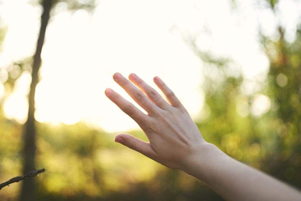 Letting Go of Resentment and Regret
